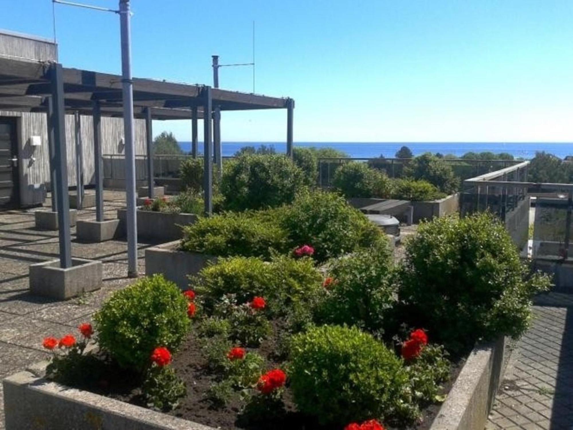 Berolina Whg 219 Daire Dahme Dış mekan fotoğraf